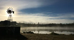 whitehorse