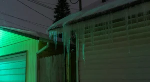 cold night hanging icicles